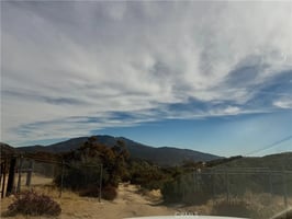 31694064