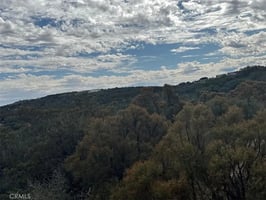 30136438