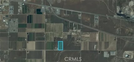 30149951