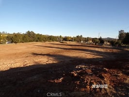 30151337