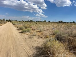 32907374