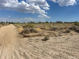 32907375