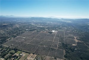 32176354