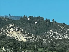 30163768