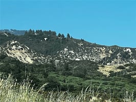 30163769