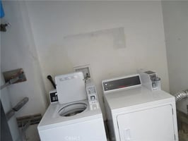 30164517