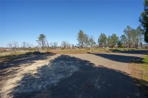 31322782