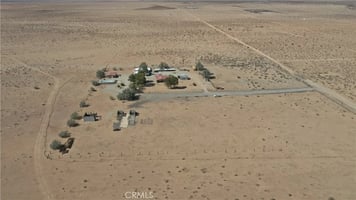 30222421