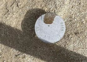 30222594