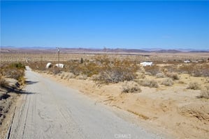 30249661