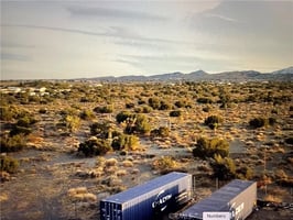 30317363