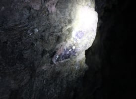 28026421