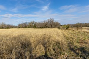 31403853