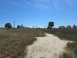 30575305