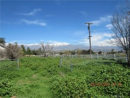 30576553