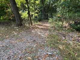 30585175