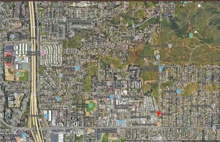 30619006