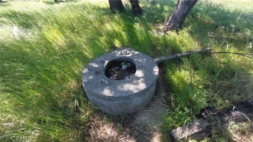 31717259