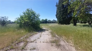 31717267