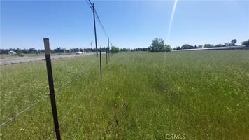 31717282