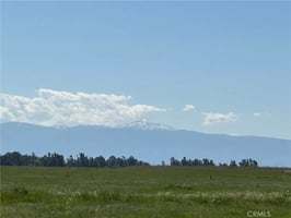 31462525
