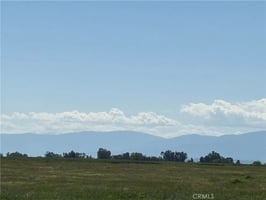 31462526