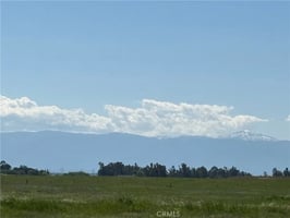 30620782
