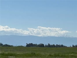 31462524
