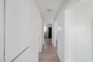 30623267