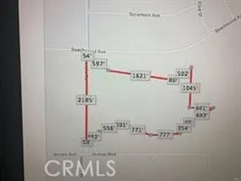 31694203