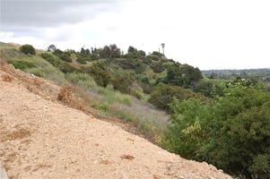 30629874