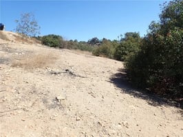 32205506