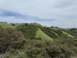 30633426