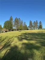 30634061
