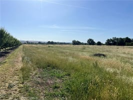 30637962