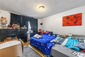 32690246