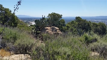 32888463