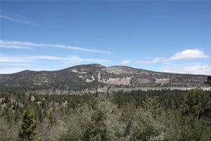 30645776