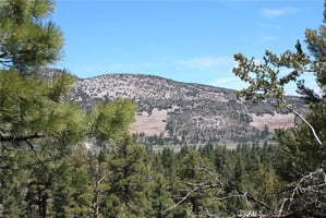 30645727
