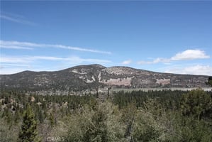 32690402