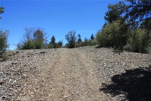 32690379