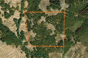 31757380
