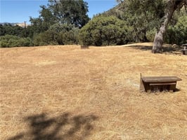 30675319
