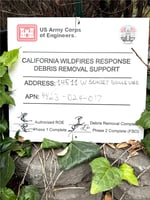 31462842