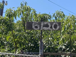 30681924
