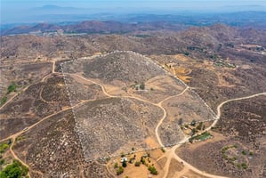 31669674