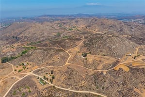 31669641