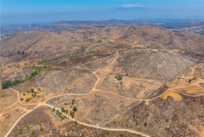 31669660