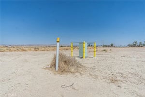 33195692