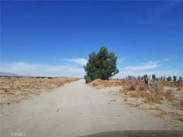 31296367
